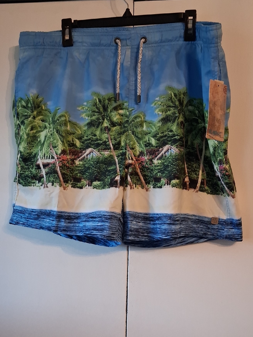 Islandhaze Blue Tropical Palm Print Swim Shorts
